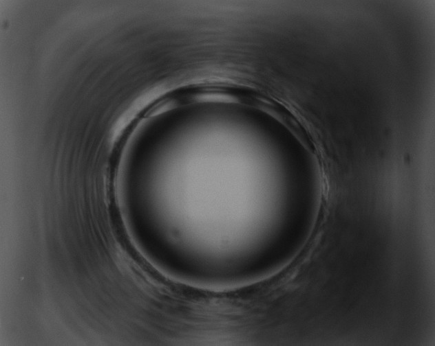 X0000051860244200507012347