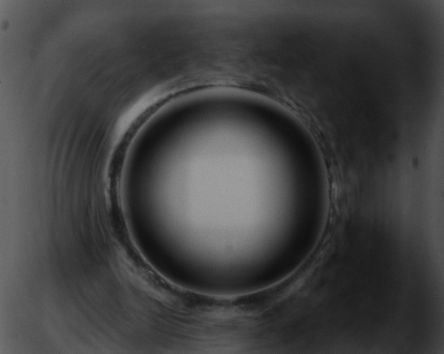 X0000051860246200507012347