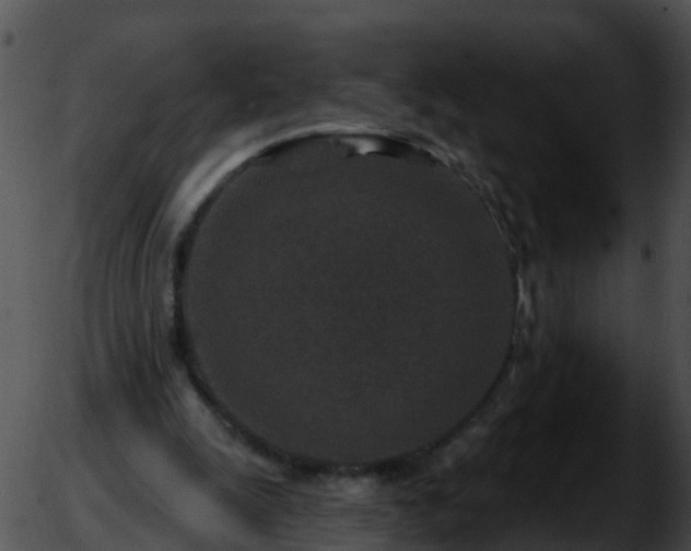 X0000051860247200507012347