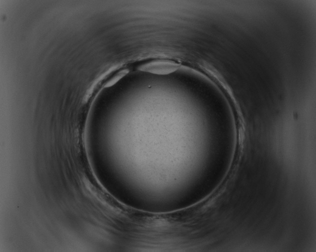 X0000051860249200507012347