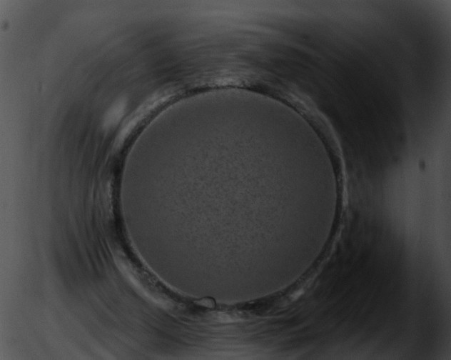 X0000051860250200507012348