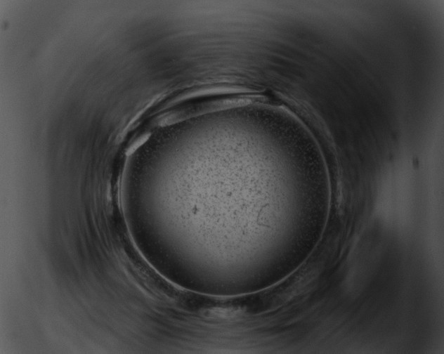 X0000051860251200507012348