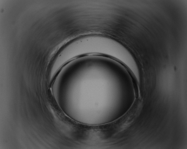 X0000051860252200507012348