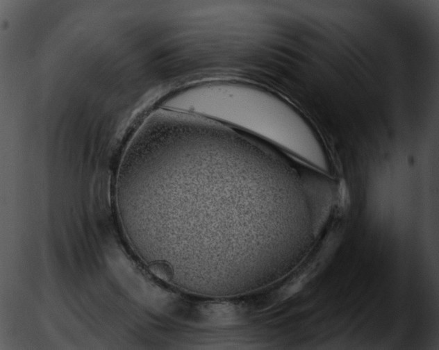 X0000051860253200507012348