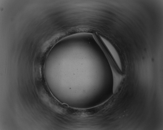 X0000051860254200507012348