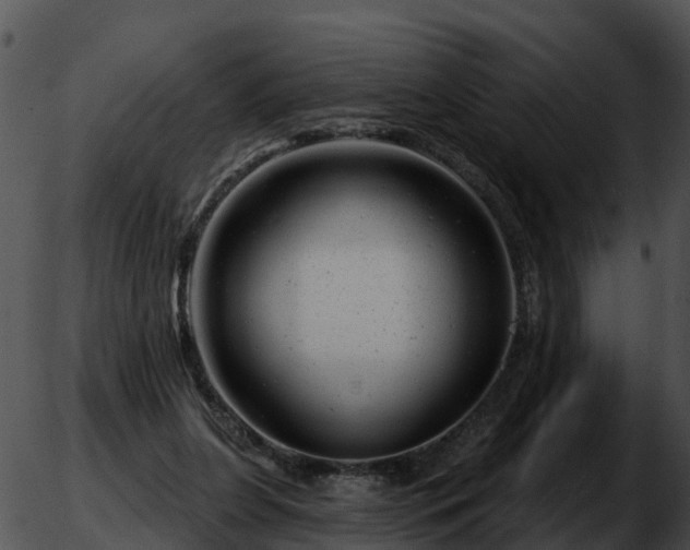 X0000051860255200507012348