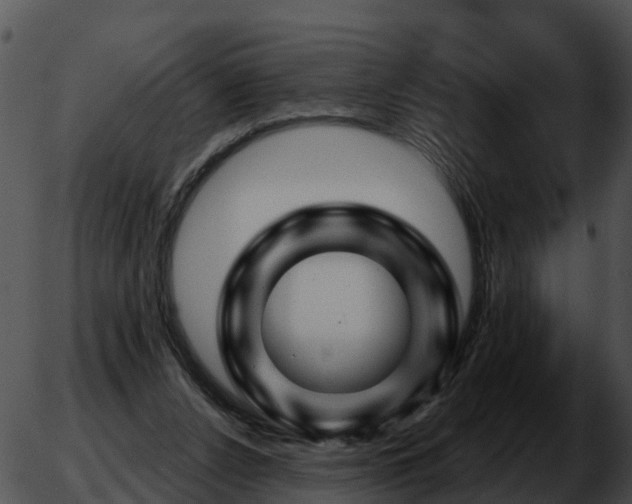 X0000051860256200507012348