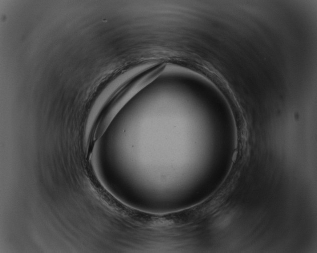 X0000051860257200507012348