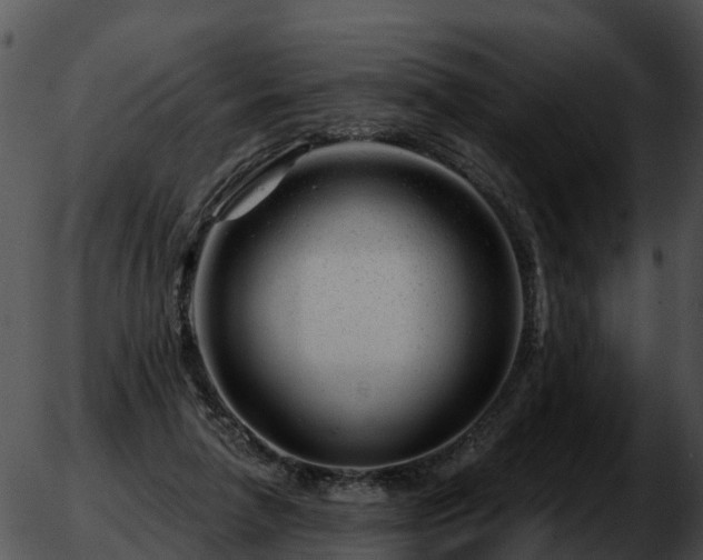 X0000051860258200507012348