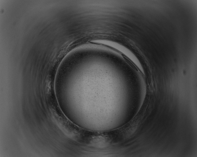 X0000051860259200507012348