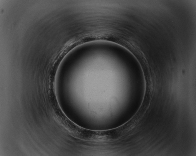 X0000051860260200507012348