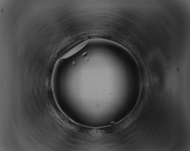 X0000051860261200507012348