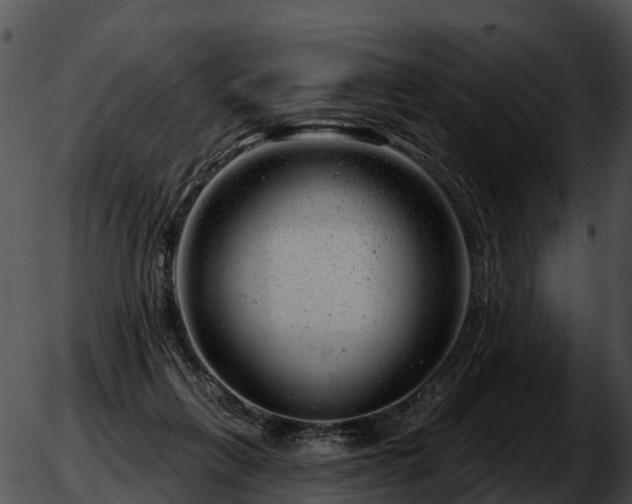 X0000051860263200507012348