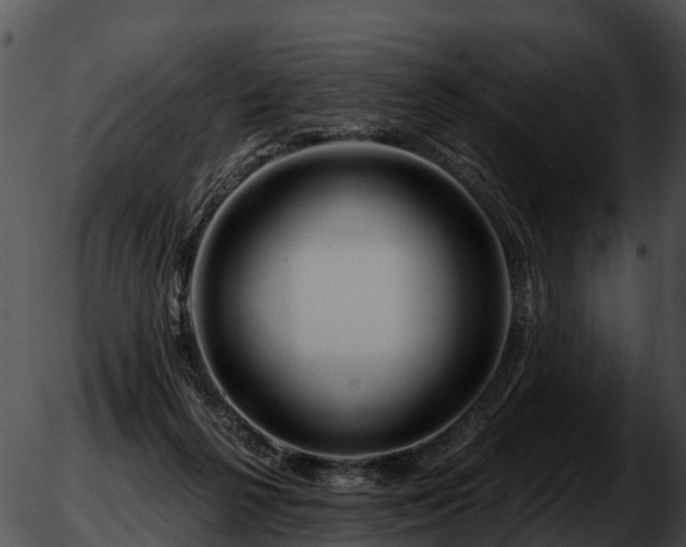 X0000051860264200507012348