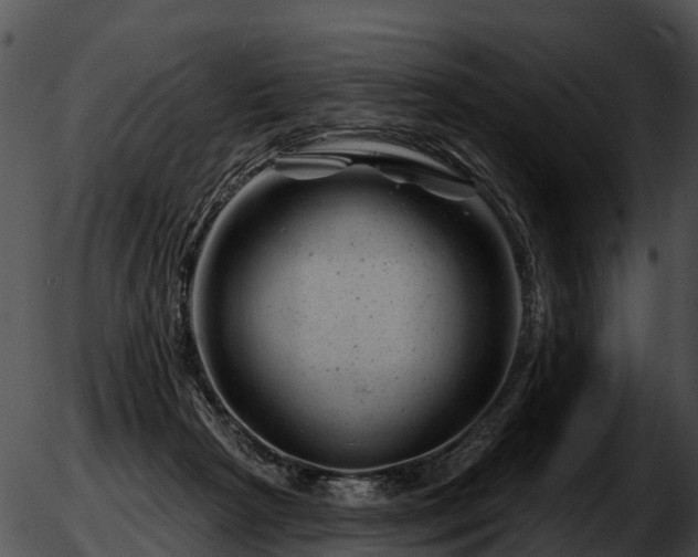 X0000051860265200507012348