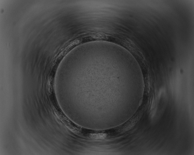 X0000051860266200507012348