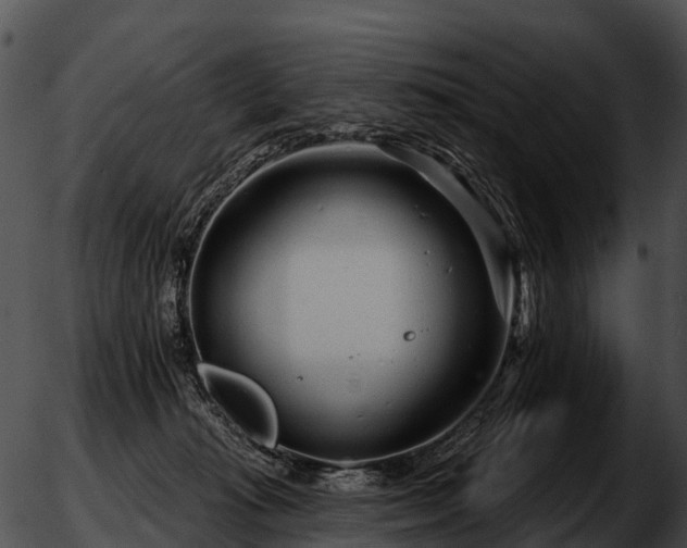 X0000051860269200507012348