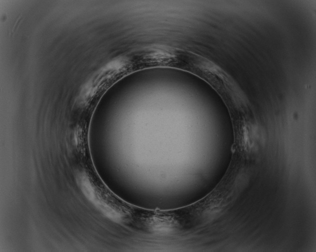 X0000051860270200507012348