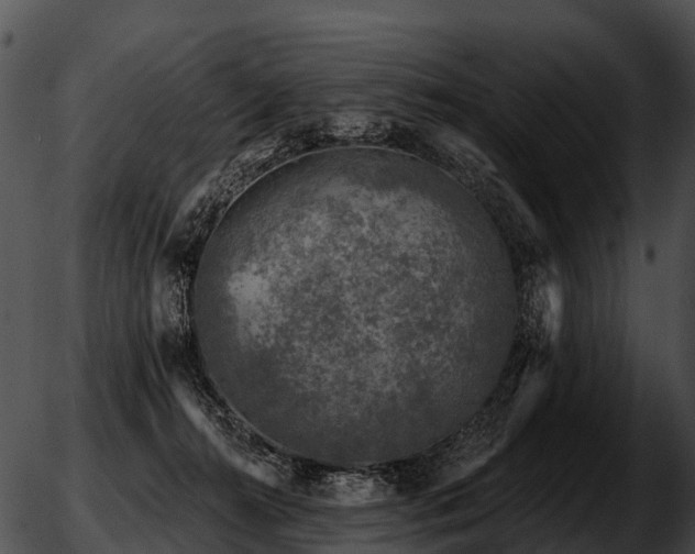 X0000051860272200507012348