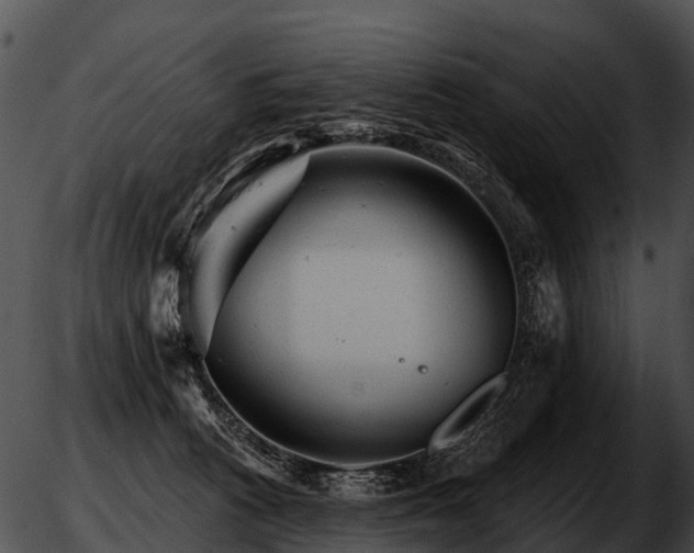 X0000051860273200507012348