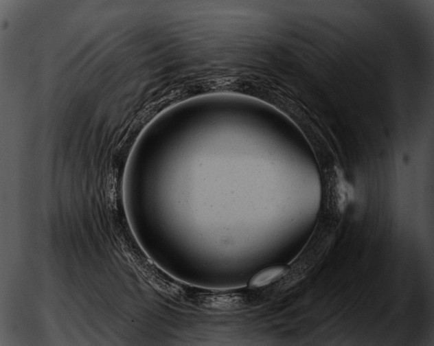 X0000051860274200507012348