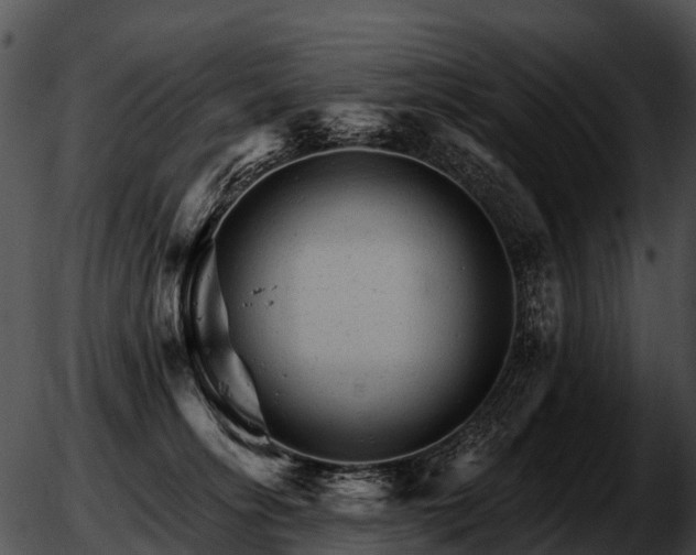 X0000051860275200507012348