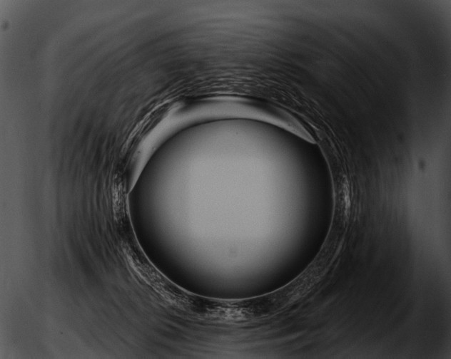 X0000051860276200507012348