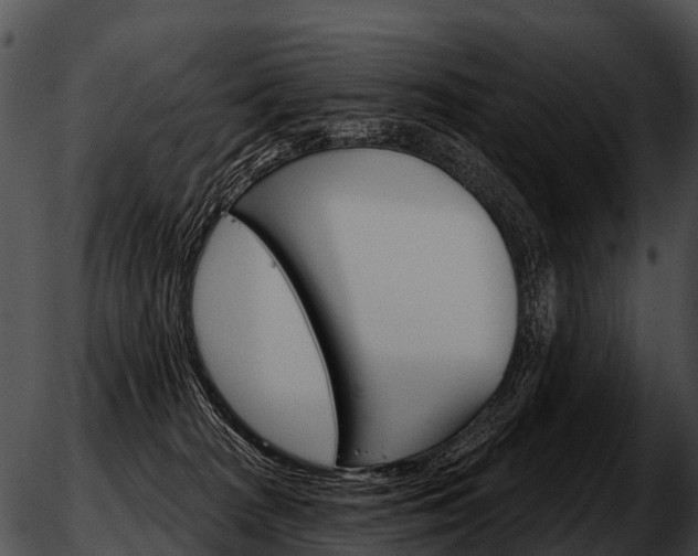 X0000051860277200507012348