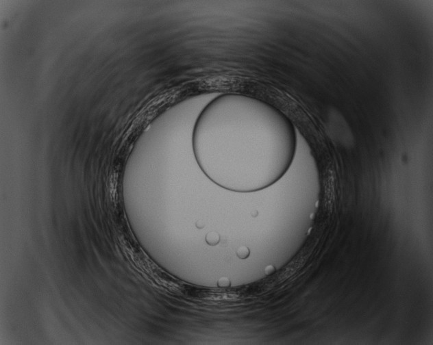 X0000051860278200507012348