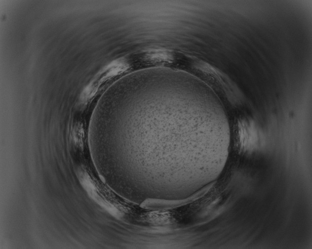 X0000051860279200507012348