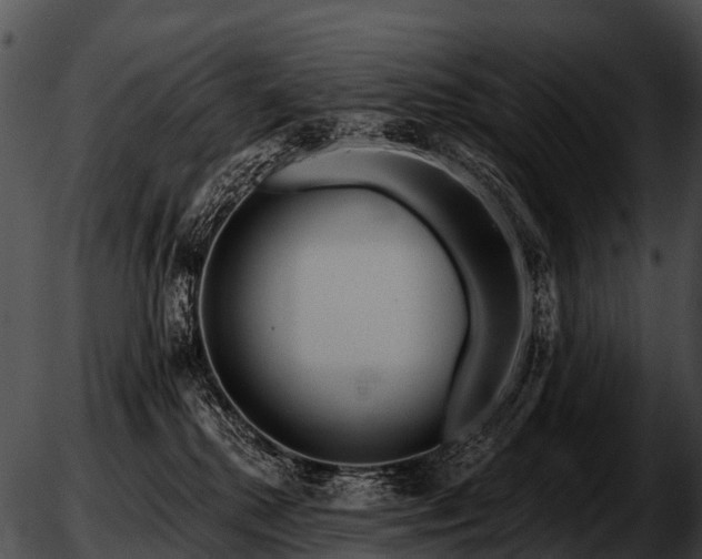 X0000051860280200507012348