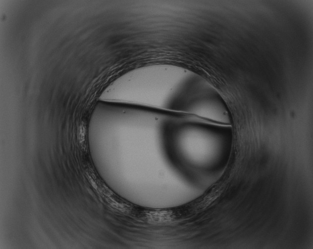 X0000051860281200507012348