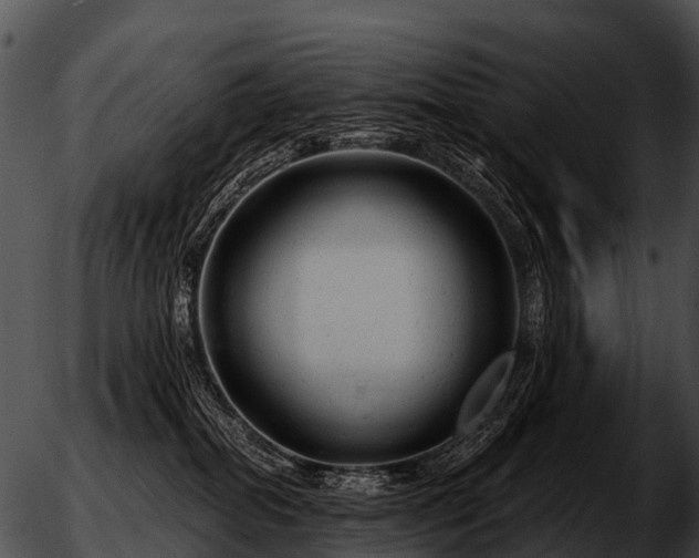 X0000051860282200507012348