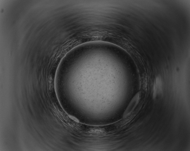 X0000051860283200507012348