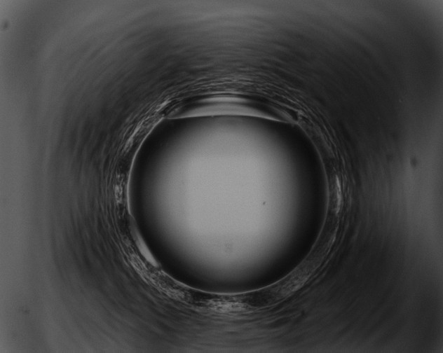 X0000051860284200507012348