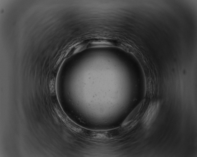 X0000051860285200507012348