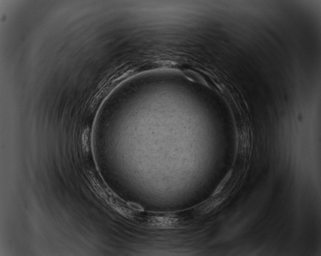 X0000051860286200507012348