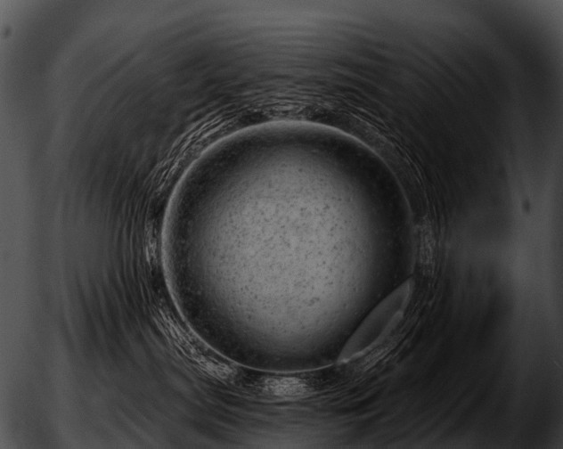 X0000051860287200507012348