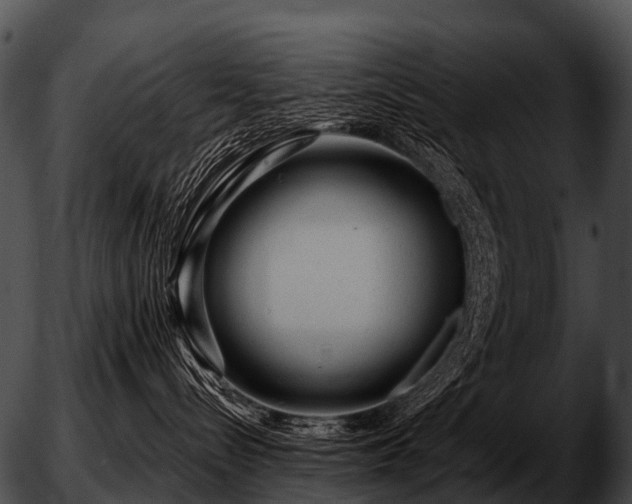 X0000051860288200507012348