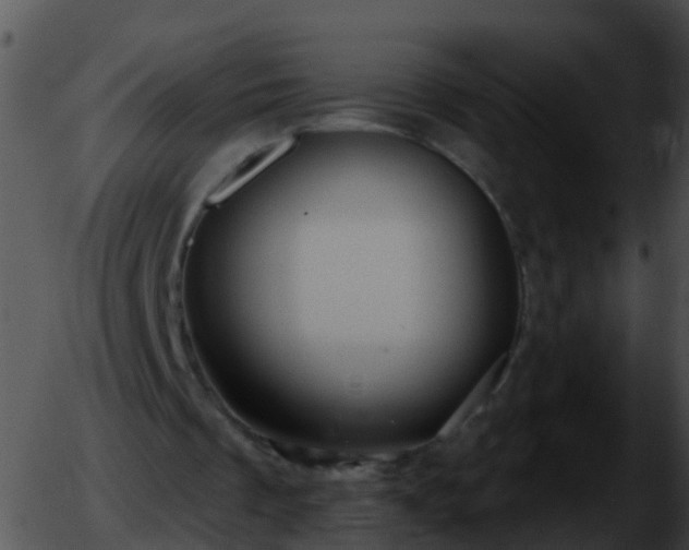 X0000051860289200507012347