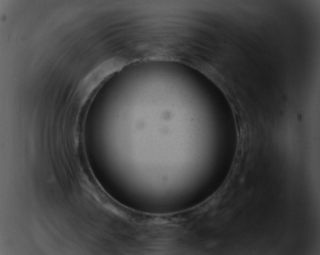 X0000051860290200507012347