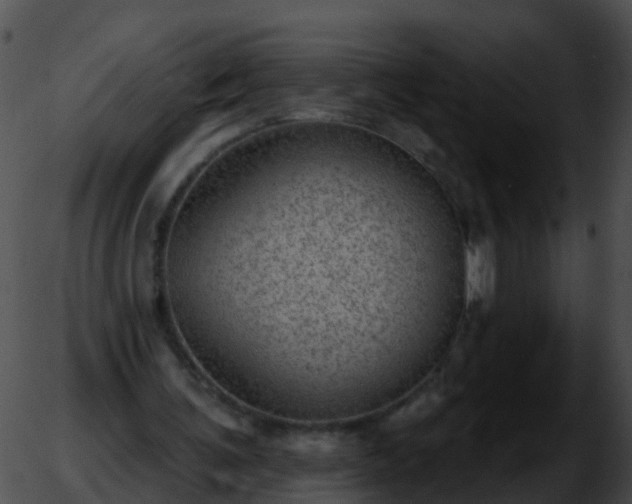 X0000051860291200507012347