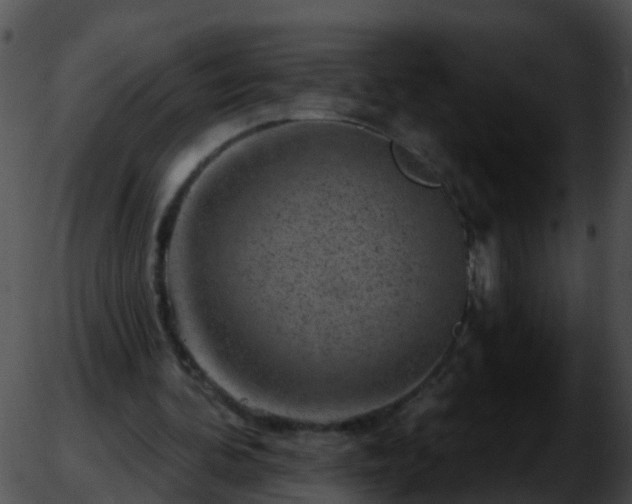 X0000051860292200507012347