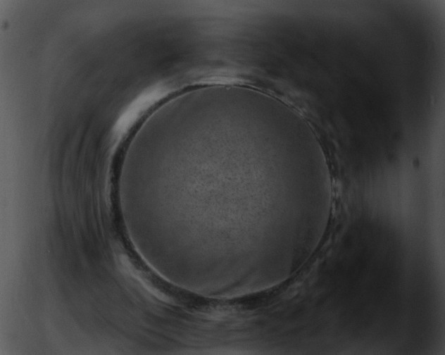 X0000051860296200507012347