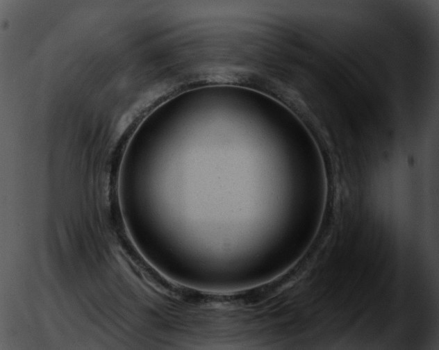 X0000051860299200507012347