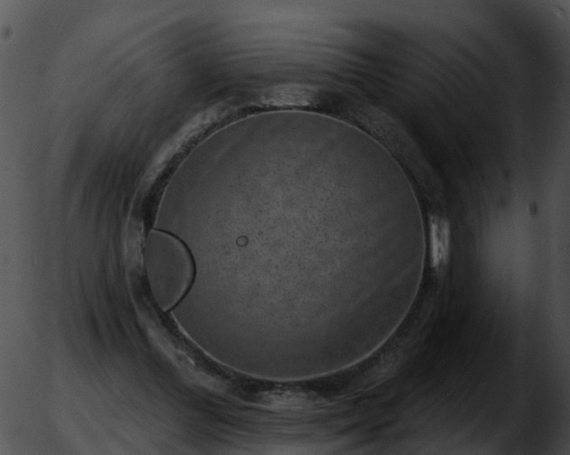 X0000051860300200507012347