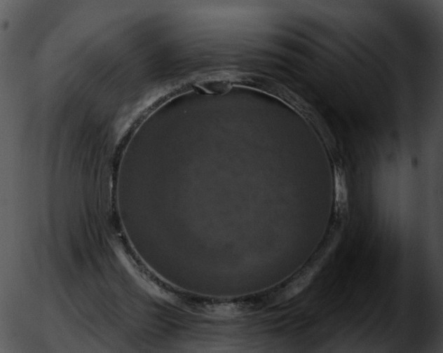 X0000051860301200507012347