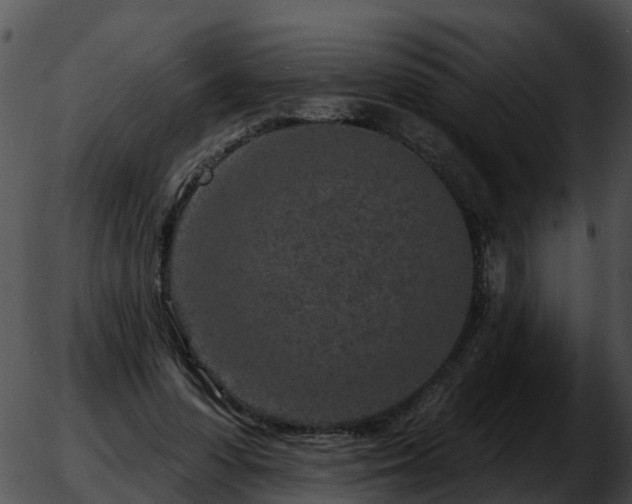 X0000051860303200507012347