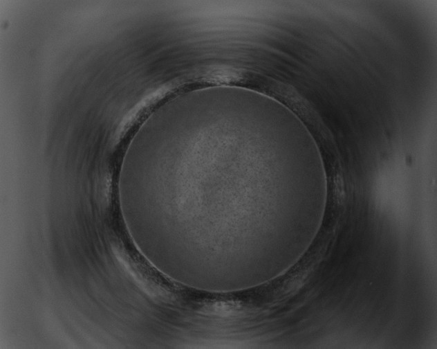 X0000051860304200507012347