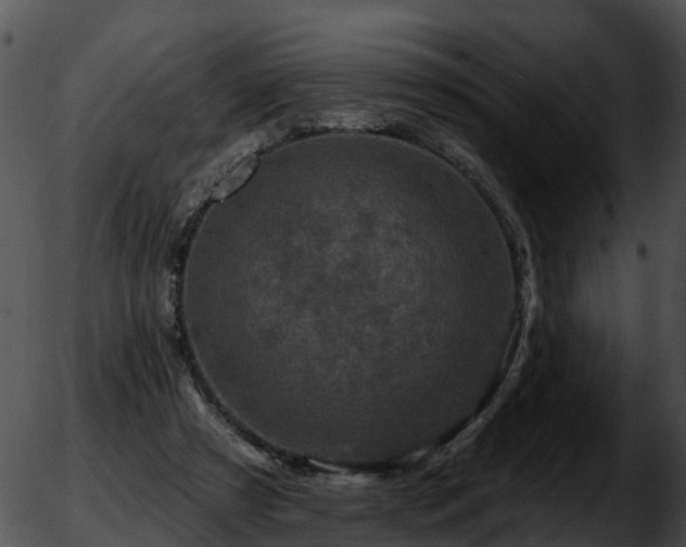 X0000051860305200507012347